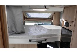 Low Profile Motorhome SUNLIGHT T-65 modelo 2019 en Catalog