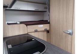 Low Profile Motorhome SUNLIGHT V 60 en Sale Occasion