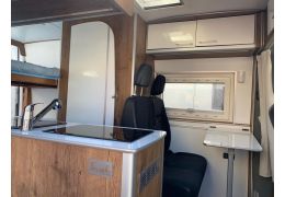 Camper Van MERCEDES Sprinter en Sale Occasion