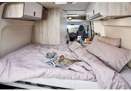 Camper Van WESTFALIA Amundsen 540D Modelo 2020 en Catalog