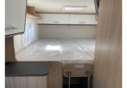 Low Profile Motorhome SUNLIGHT V66 en Sale Occasion