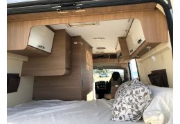 Camper Van MC LOUIS Menfys Van en Sale Occasion