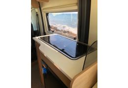 Camper Van MC LOUIS Menfys Van en Sale Occasion
