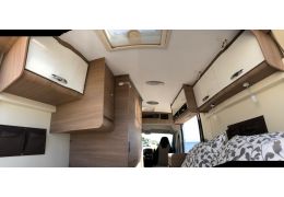 Camper Van MC LOUIS Menfys Van en Sale Occasion